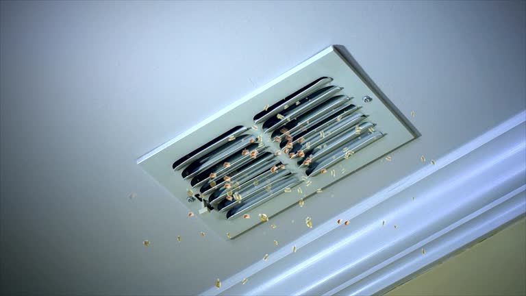 Best HVAC System Cleaning  in Butte, MT